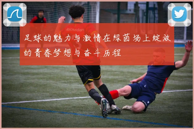 足球的魅力与激情在绿茵场上绽放的青春梦想与奋斗历程