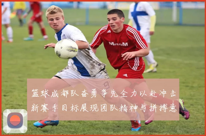 篮球成都队奋勇争先全力以赴冲击新赛季目标展现团队精神与拼搏意志