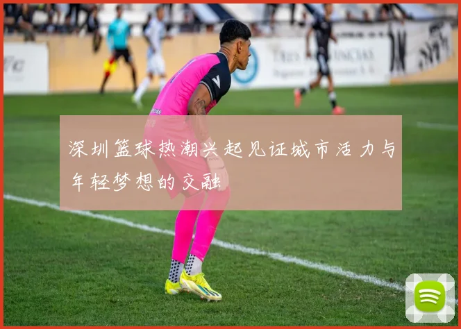 深圳篮球热潮兴起见证城市活力与年轻梦想的交融