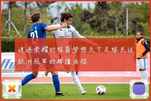 追逐荣耀的绿茵梦想天下足球见证欧洲冠军的辉煌历程