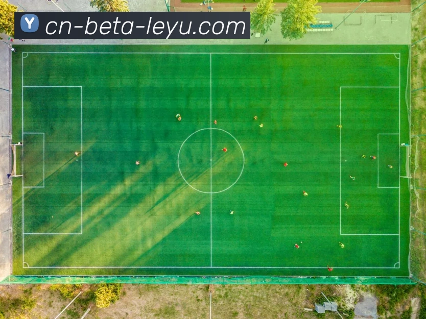 多媒体互动体验